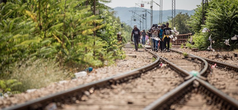 A group of migrants walk on the last leg of their crossing from Greece to FYR of Macedonia