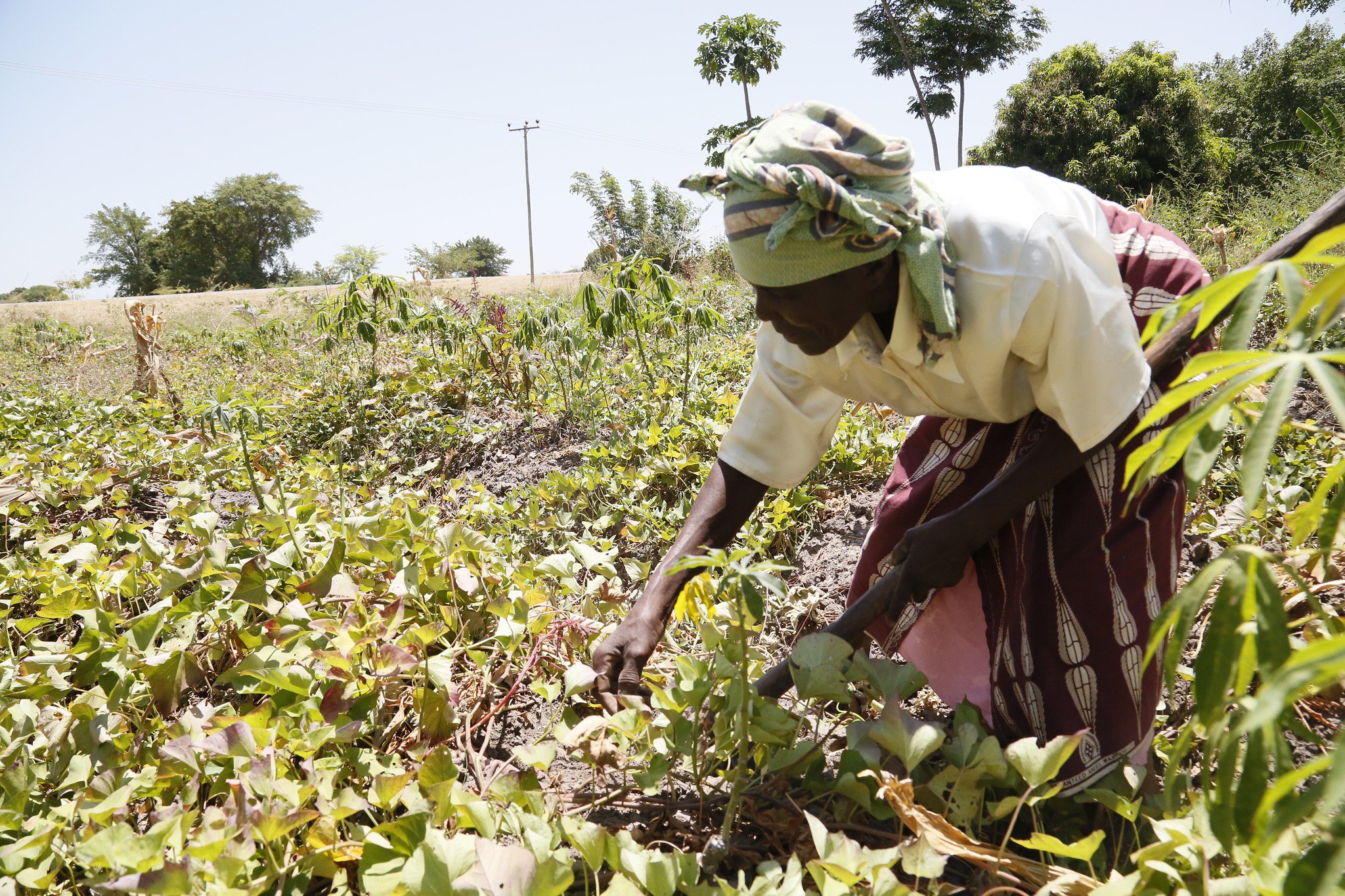 Elizabeth Mukwimba is a 62-year-old Tanzanian smallholder farmer who now has solar lighting and a cleaner cookstove in her home, thanks to schemes backed by UK aid