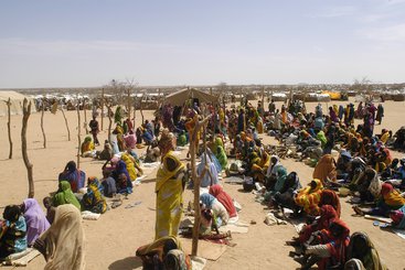 Displaced Camps in Chad, Africa
