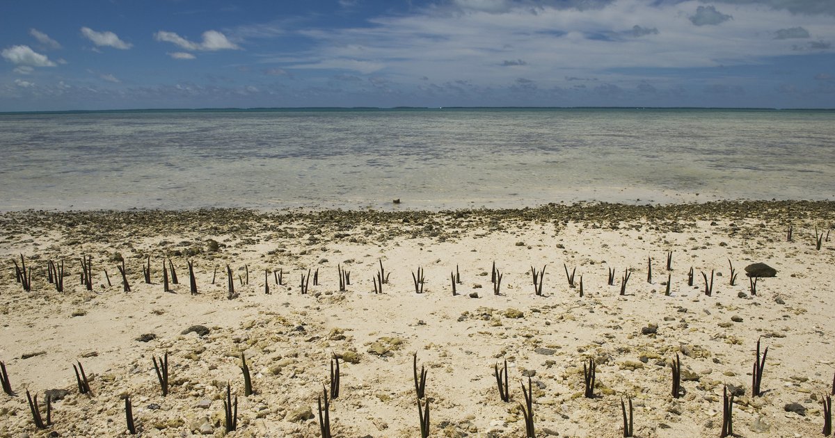 environmental-justice-for-small-island-developing-states-odi-think