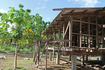 Houses being built under the Rural Development Project. Solomon Islands.