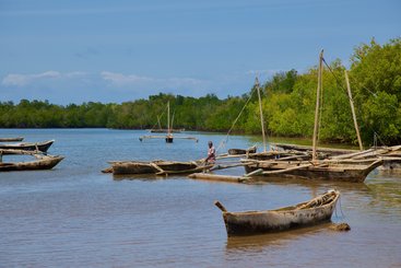 Fisherman resting on his boat near the mangrove forest
