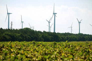 Wind farm near Kavarna