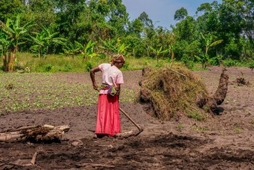 A woman prepares garden soil for planting vegetables in rural Uganda, 2014.