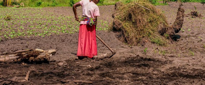 A woman prepares garden soil for planting vegetables in rural Uganda, 2014.