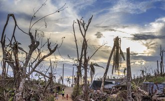Samar Island, Guiuan. Moments before sunset, a desolate landscape of destroyed coconut trees outside the centre of town.