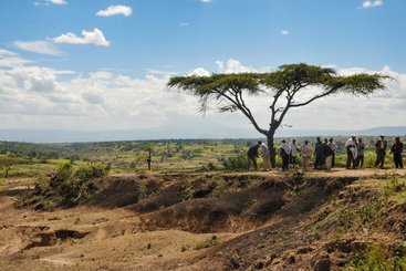 SOS Sahel community tree planting project near Hawassa, Ethiopia in 2014.