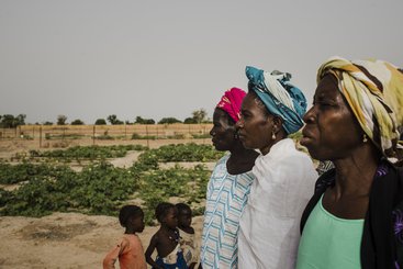 Women standing in a vegetable field in Bogossoni, central Mali, on May 16, 2017