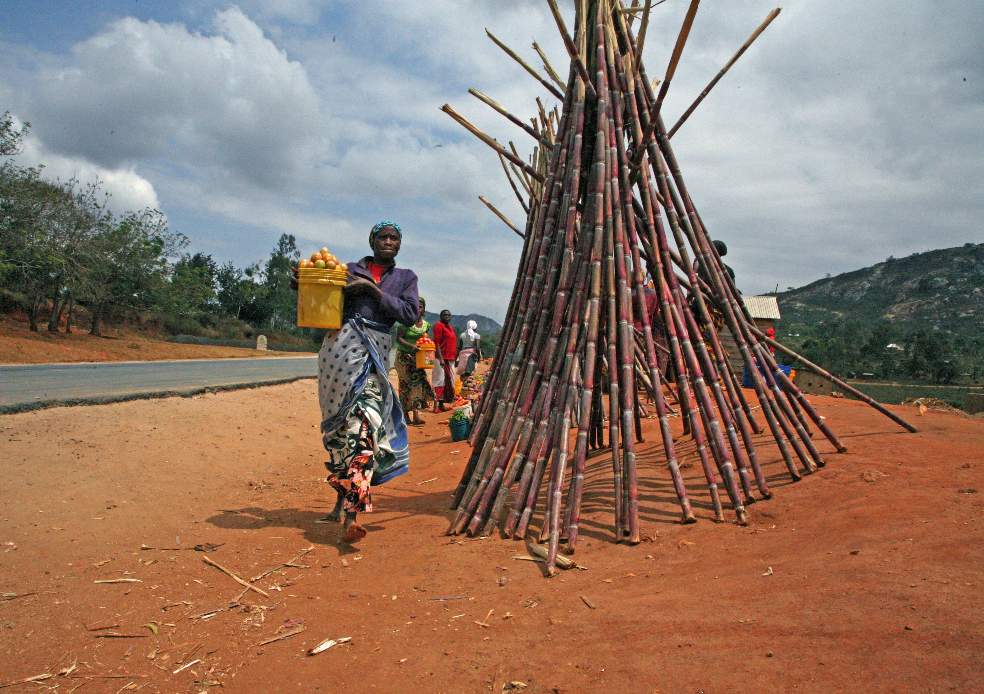 Woman selling sugar cane in Morogoro, Tanzania.